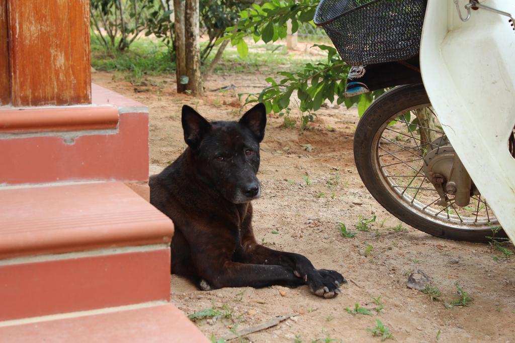 Spring Garden Homestay Phu Quoc Exterior foto