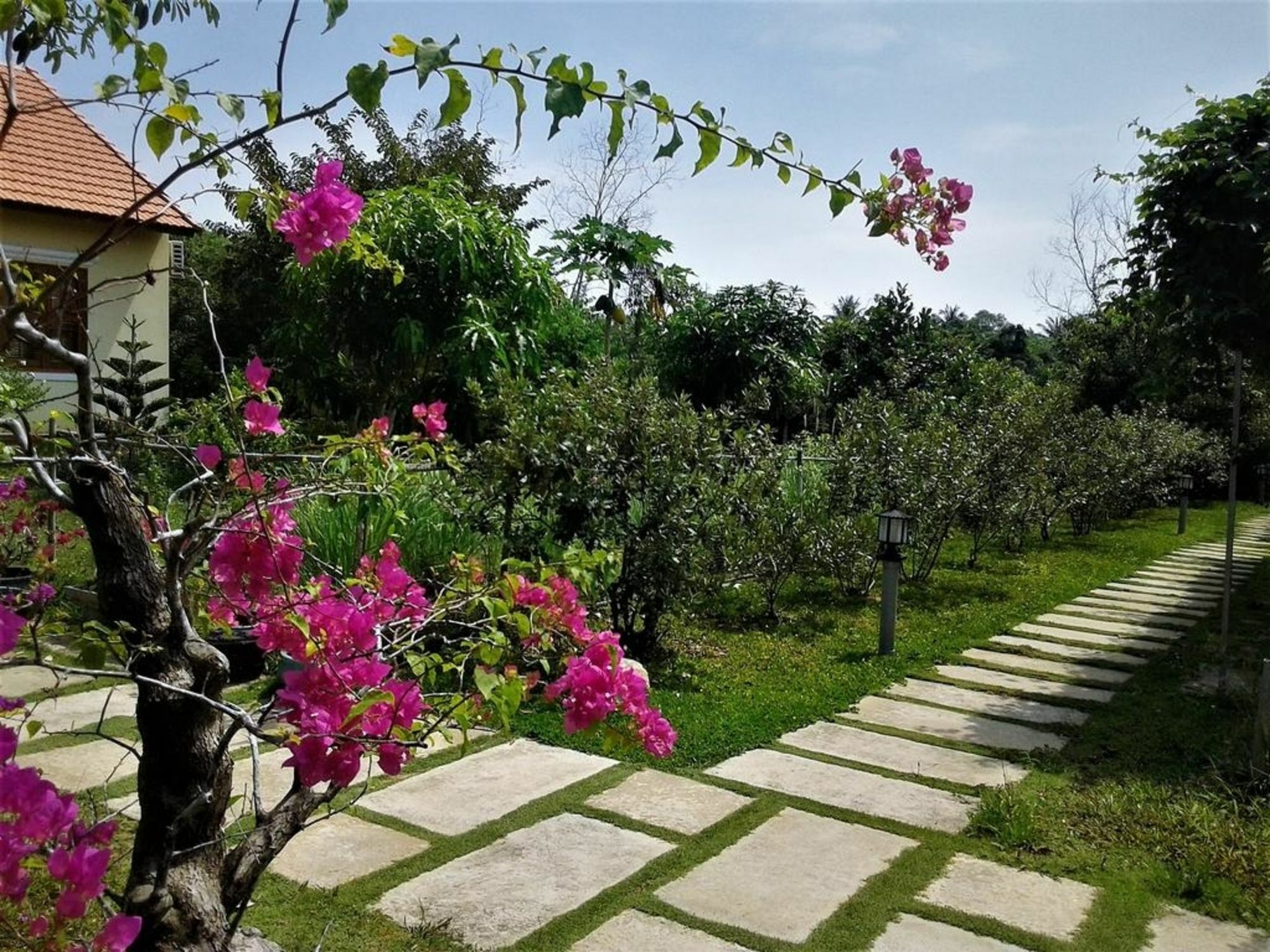Spring Garden Homestay Phu Quoc Exterior foto