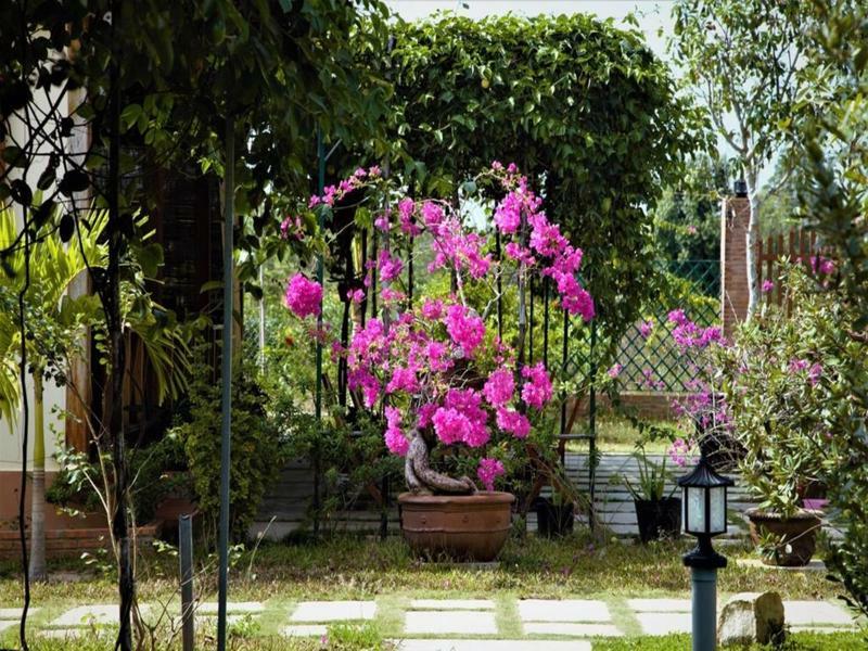 Spring Garden Homestay Phu Quoc Exterior foto