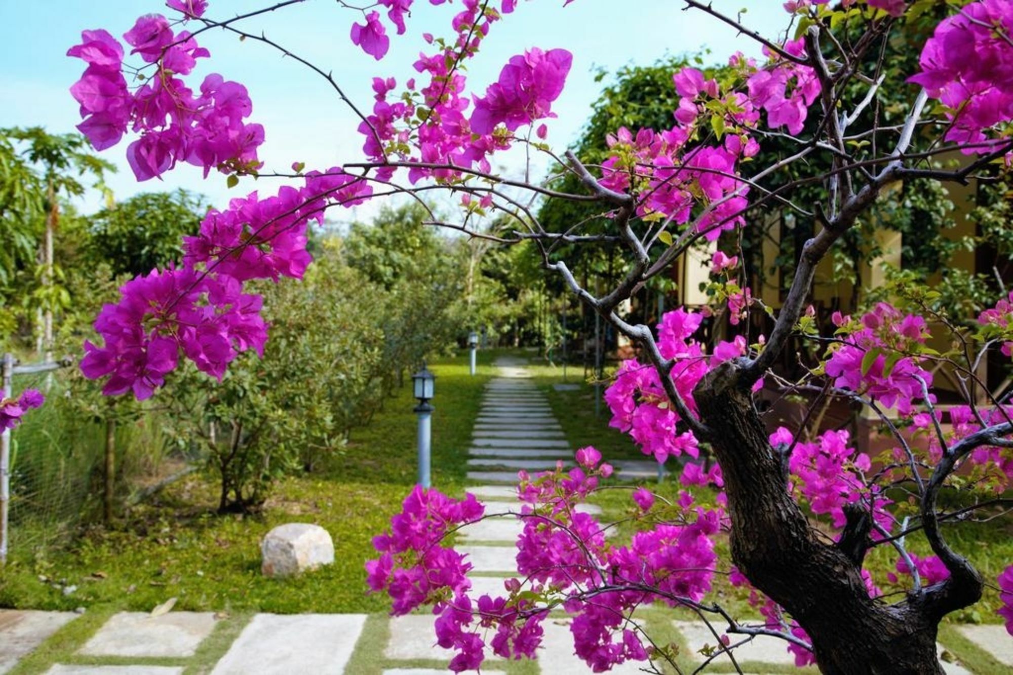 Spring Garden Homestay Phu Quoc Exterior foto