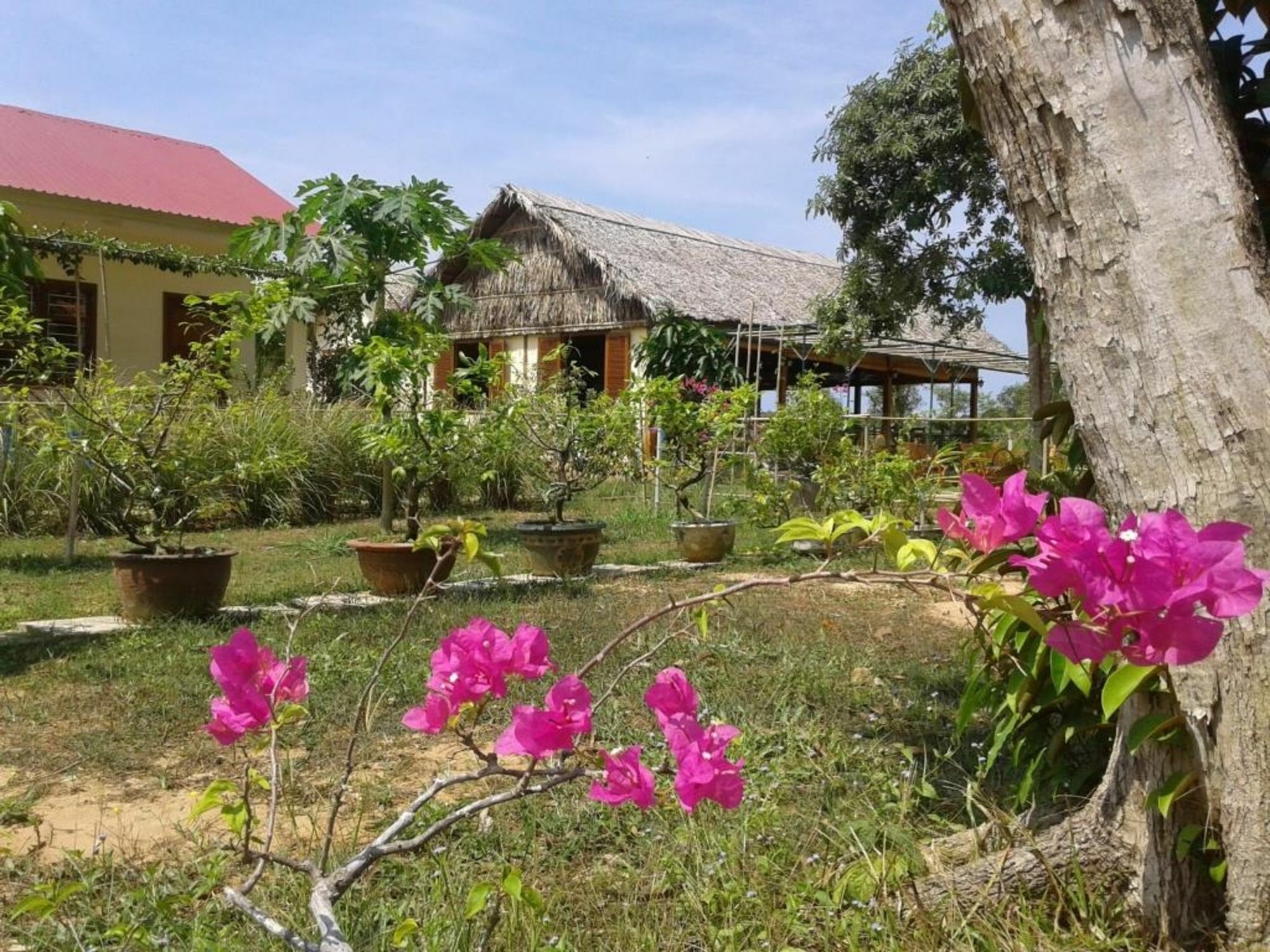 Spring Garden Homestay Phu Quoc Exterior foto