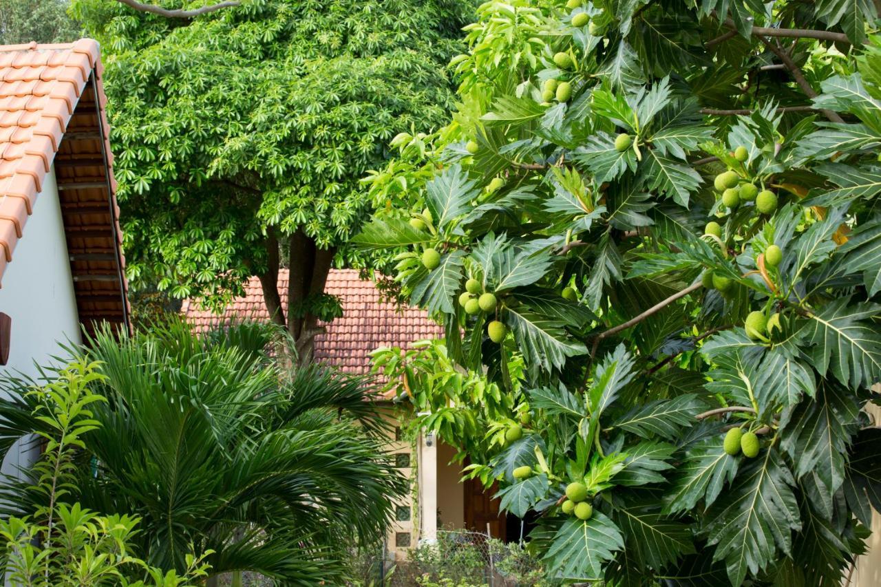 Spring Garden Homestay Phu Quoc Exterior foto