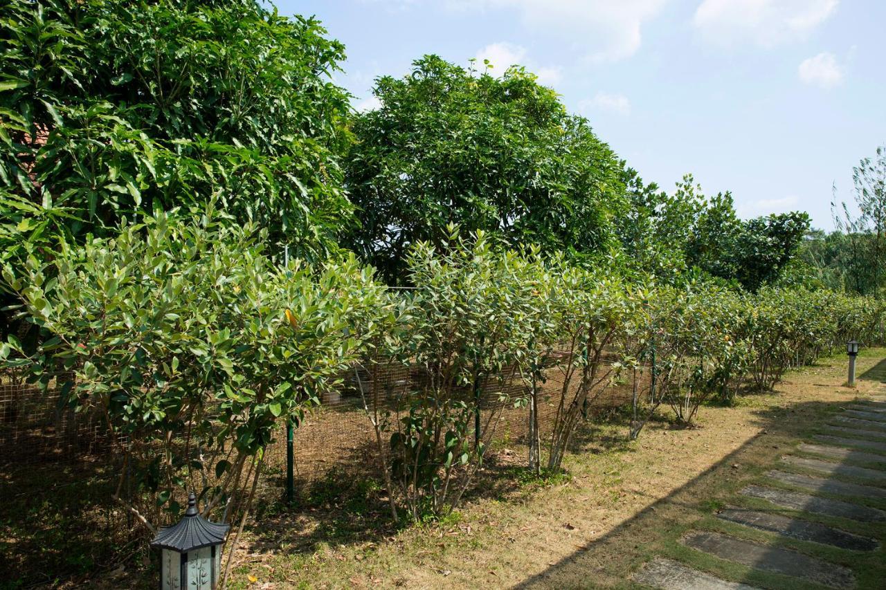 Spring Garden Homestay Phu Quoc Exterior foto