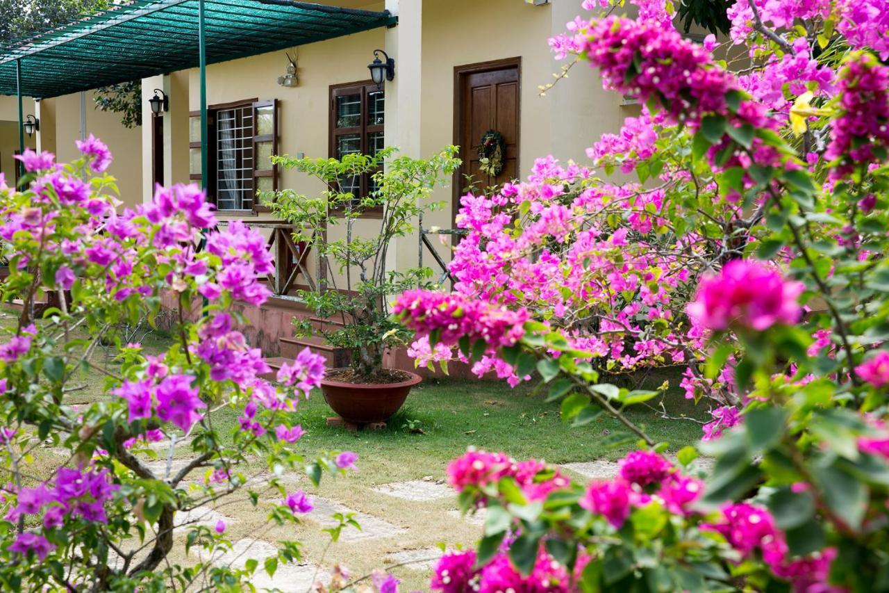 Spring Garden Homestay Phu Quoc Exterior foto